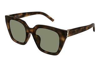 Saint Laurent SL M143 003 HAVANA