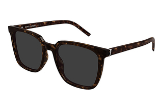 Saint Laurent SL M146 002 HAVANA