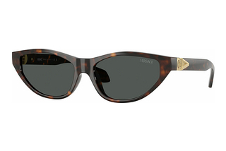 Versace VE4491U 108/87