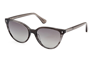 Web Eyewear WE0329 05B