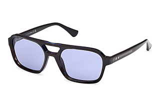 Web Eyewear WE0376 56V