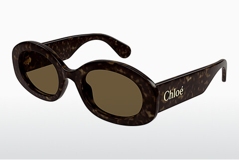 Sluneční brýle Chloé CH0258S 002