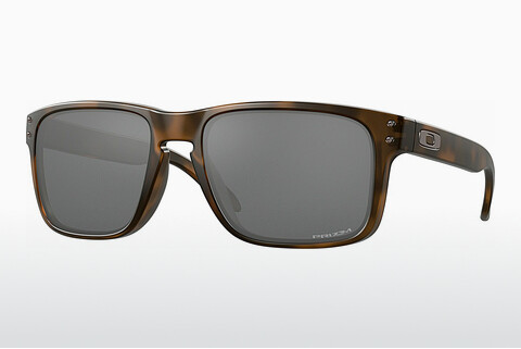 Sluneční brýle Oakley HOLBROOK (OO9102 9102F4)