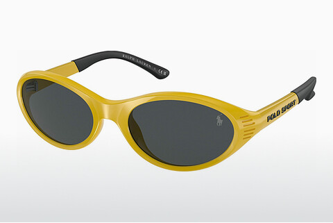Sluneční brýle Polo PH4197U 596187