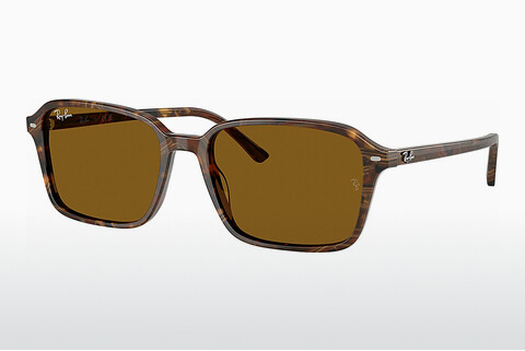 Sluneční brýle Ray-Ban RAIMOND (RB2231 141833)