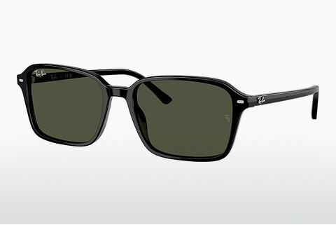 Sluneční brýle Ray-Ban RAIMOND (RB2231 901/31)