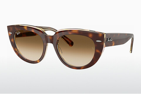 Sluneční brýle Ray-Ban DOREEN (RB2286 141451)