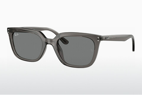 Sluneční brýle Ray-Ban RB4439D 667587