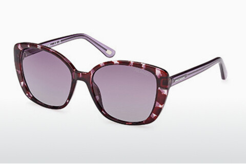Sluneční brýle Skechers SE6265 55D