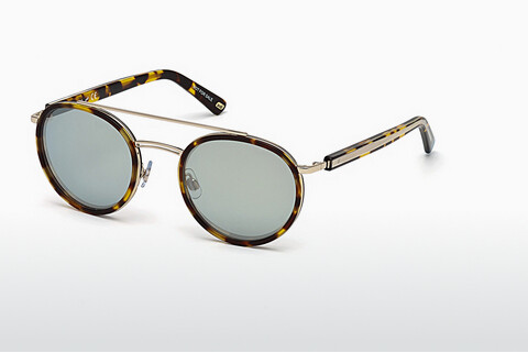 Sluneční brýle Web Eyewear WE0225 55X