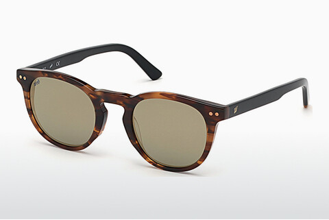 Sluneční brýle Web Eyewear WE0251 56C