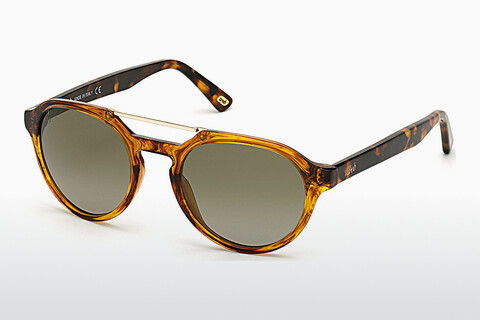 Sluneční brýle Web Eyewear WE0278 56R