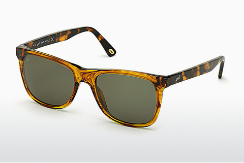 Sluneční brýle Web Eyewear WE0279 56N