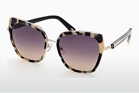 Sluneční brýle Web Eyewear WE0304 55Z