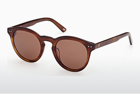 Sluneční brýle Web Eyewear WE0307 53G