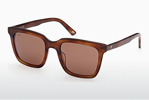 Sluneční brýle Web Eyewear WE0309 53G