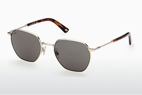 Sluneční brýle Web Eyewear WE0312 32W