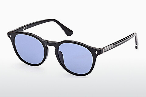 Sluneční brýle Web Eyewear WE0328 05A