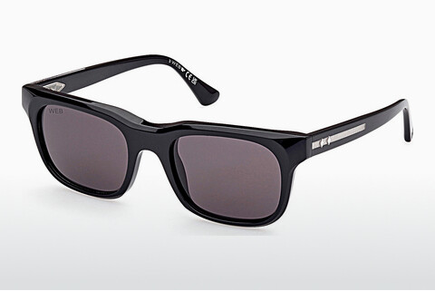 Sluneční brýle Web Eyewear WE0336 05A