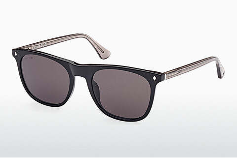 Sluneční brýle Web Eyewear WE0339 01A