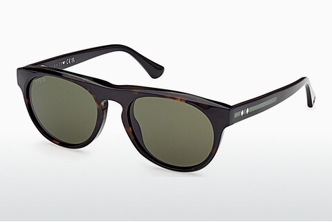 Sluneční brýle Web Eyewear WE0349 52N