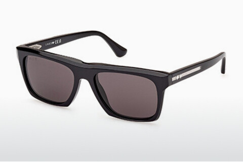 Sluneční brýle Web Eyewear WE0350 20E