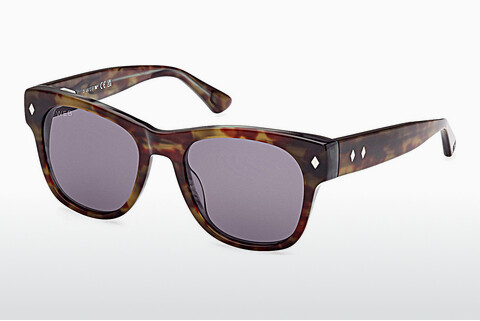 Sluneční brýle Web Eyewear WE0353 56A