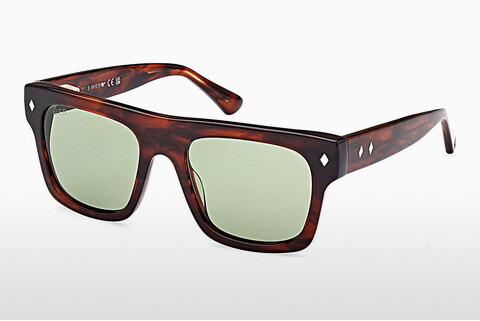 Sluneční brýle Web Eyewear WE0354 56N