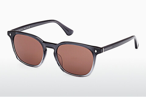 Sluneční brýle Web Eyewear WE0364 20S