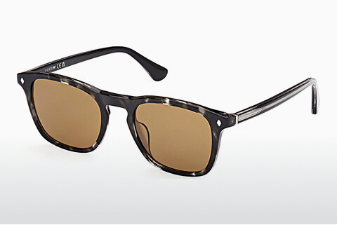 Sluneční brýle Web Eyewear WE0365 05E