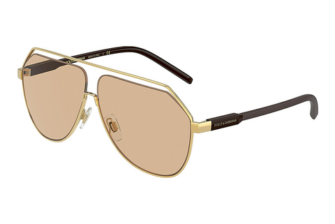 Sluneční brýle Dolce & Gabbana DG2266 02/73