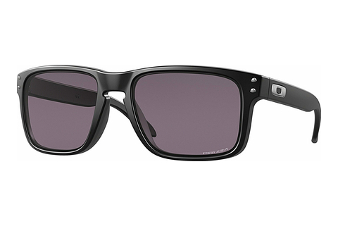 Sluneční brýle Oakley HOLBROOK (OO9102 9102E8)