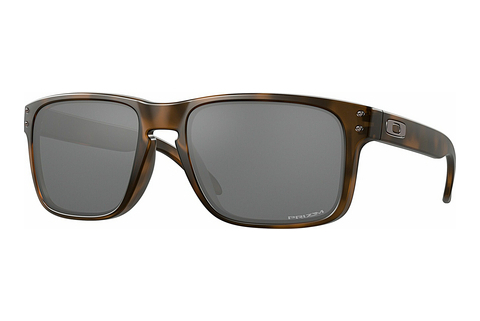 Sluneční brýle Oakley HOLBROOK (OO9102 9102F4)