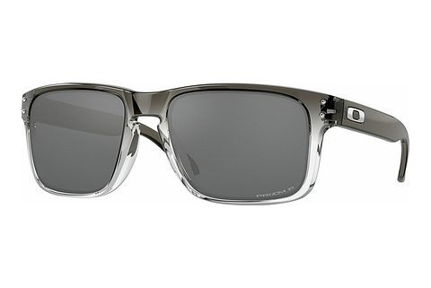 Sluneční brýle Oakley HOLBROOK (OO9102 9102O2)