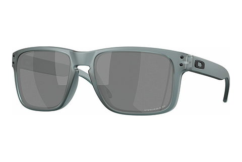 Sluneční brýle Oakley HOLBROOK (OO9102 9102Z4)