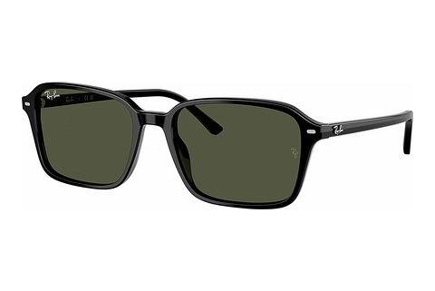 Sluneční brýle Ray-Ban RAIMOND (RB2231 901/31)