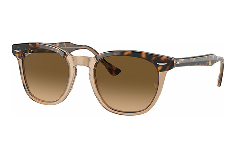 Sluneční brýle Ray-Ban HAWKEYE (RB2298 1292M2)