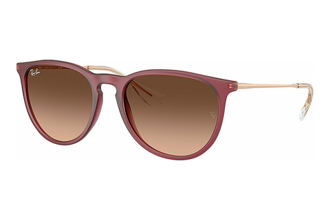 Sluneční brýle Ray-Ban ERIKA (RB4171 6815A5)