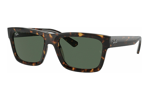 Sluneční brýle Ray-Ban WARREN (RB4396 135971)