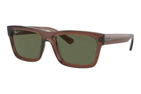 Sluneční brýle Ray-Ban WARREN (RB4396 66789A)