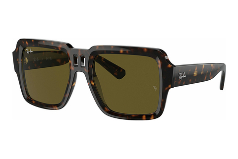 Sluneční brýle Ray-Ban MAGELLAN (RB4408 135973)