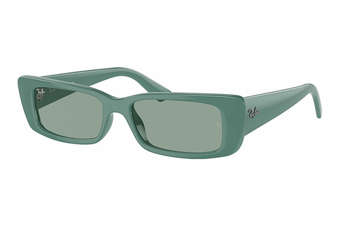 Sluneční brýle Ray-Ban TERU (RB4425 676282)