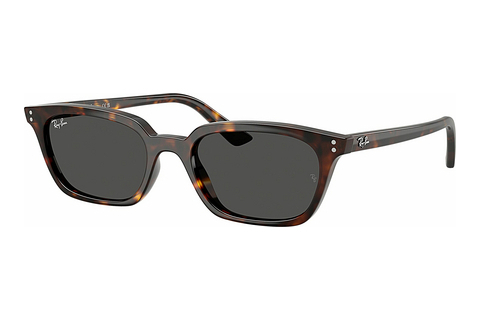 Sluneční brýle Ray-Ban ZAYA (RB4456 135987)