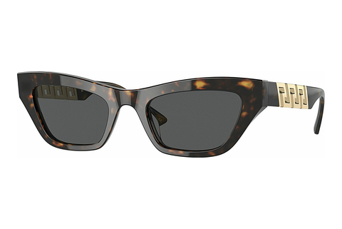 Sluneční brýle Versace VE4419 108/87